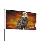 Patriotic Bald Eagle Wall Art, Bold American Flag Decor, USA Pride, 2nd Amend't