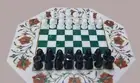 18" Carnelian Stone Floral Art Inlay Chess Table Top Octagon End Table King 2.5"