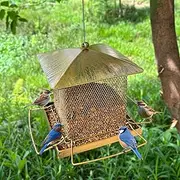 Bird Feeder for Outside, Hanging Bird Feeder,Heavy Duty Metal Squirrel Proof Wild Bird Feeders,Large Capacity Birdfeeder (Heavy Metal-Bronzer)