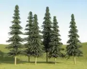Multi Scale - Spruce Trees - 24 each Assorted - 4" to 6" Tall - BAC-32158