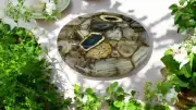 18" Wild Agate Stone Coffee Table Top Handmade Countertop Living Room Decors
