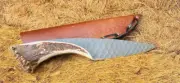 Beautiful Crown Stag handle knife, Custom Handmade D2 Steel Hand Forged knife,