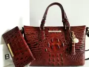 Brahmin Mini Asher Satchel Pecan Brown Leather Crossbody Bag + Wallet NWT