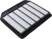 HDVCRNBAVW Air Filter Car Accessories 1Pcs Fit for Infiniti QX56 AWD 5.6L Fit for Nissan S Fit for Patrol (Y62) 2010 2011 2012 2013 2014 2015 2016 2017 2018 Car Cabin Filter