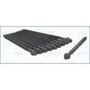 Austral Cylinder Head Bolt Set - 81044100