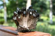 300g Smoky Quartz Cluster Crystal Gray Quartz Point VUG Mineral Specimen Gift