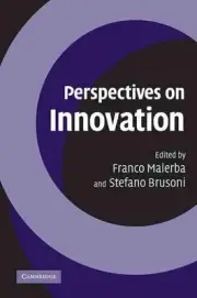 Perspectives on Innovation by Franco Malerba (English) Paperback Book