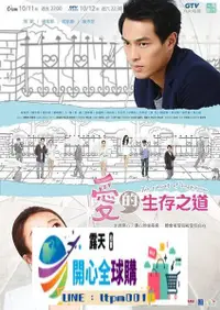 在飛比找露天拍賣優惠-全球購✨DVD 高清台劇【愛的生存之道】2013年