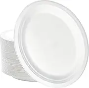 BA2617-30 Sugarcane Bagasse Oval Disposable Plates, 26 x 20 cm (600 Pieces Set)
