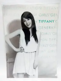 在飛比找Yahoo!奇摩拍賣優惠-少女時代 Tiffany SM官方周邊 A4 L型 資料夾 