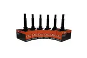 Pack of SWAN Ignition Coils & NGK Spark Plugs for Kia Carnival (2 pin plug)