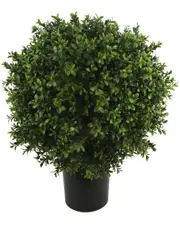 Creative Displays 23.5in Boxwood Topiary