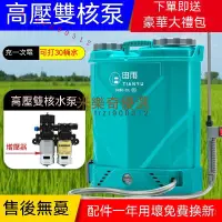 在飛比找蝦皮購物優惠-電動噴霧器農用 全自動打藥機 充電式噴霧器  高壓背負式打藥