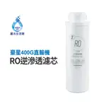 HAOHSING豪星 RO逆滲透膜 濾芯 去除重金屬 濾除病菌 400G RO直輸機專用 濾心(第二道)【麗水生活館】