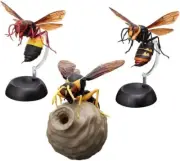 Set of 3 BANDAI Gachapon Ikimono Daizukan Tokkuribachi Capsule toy Japan Import