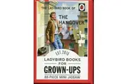 Ladybird Vintage 88 pc Mini Puzzle for Grown Ups - the Hangover