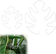 BOXOB 2pcs Monstera Leaf Plant Support, 2 Size Climbing Plant Stem Support Hooks Ideal Monstera Stabilizer Grapple Holder Turtle Shell Clamp Set for Thriving Growth Plant(White)