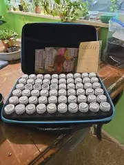 60-Slot Seed Organizer Box with Label Stickers for Garden Storage