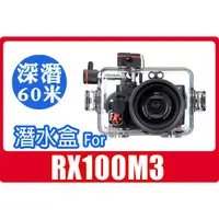 在飛比找蝦皮購物優惠-現貨自取8500 美國 Ikelite for Sony R