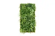 YES4HOMES 3D Green Artificial Plants Wall Panel Flower Wall With Frame Vertical Garden UV Resistant 50X100CM