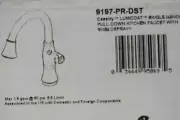 Delta 9197-PR-DST Casady Pull-Down Kitchen Faucet in Lumicoat Chrome Finish