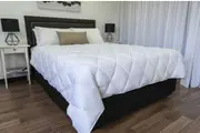 Queen Alliance Plush Quilt + Belissimo Quilt Protector