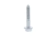 Engine Mount Screw-Eng Code: CCTA VAICO V10-2545