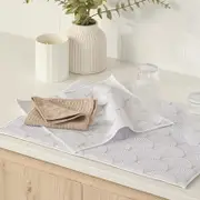 Akira Microfibre Dish Cloth 2pk [ESSLAKIDS24]