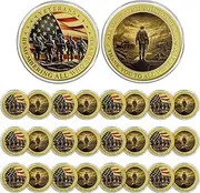 CHURYUML 24Pcs Military Challenge Coins Bulk Veterans Day Gifts Thank You to All Veterans Military Gifts for Men Women Army Soldiers Military Honor Coin Thank You for Your Service