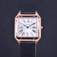 在飛比找蝦皮購物優惠-手錶瑞士男士山度士系列石英男表腕錶W2SA0011銀盤皮帶3