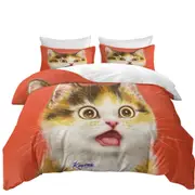 Cool Surprised Cute Kitten Cat Quilt Cover