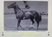 EVEN STEVENS 1962 Melbourne Cup Print
