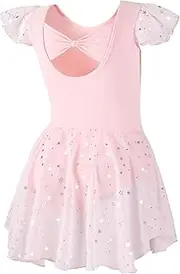 [DIPUG] Girls Ballet Leotards Toddler Shiny Dance Leotard Dresses with Ruffle Sleeve