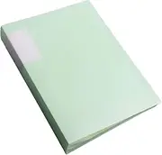 Bepisof 60 Pocket Art Portfolio Presentation Binder with Plastic Sleeves,Portfolio Folder with Clear Sheet Protectors,The Storage Assistant for Files and Test Papers（Green）