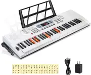 Keyboard Piano Lighted Keys for Beginner Adults Teens Kids, 61 Key Electronic Mu