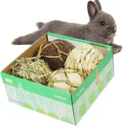 Small Animals Play Balls Rolling Chew Toys & Gnawing Treats for Rabbits Guinea P