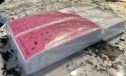 500 PCS DEPILATORY PAPER HAIR REMOVAL WAXING STRIPS FOR LEGS BODY WAX SPA SALON