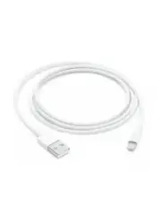 Apple 3ft. (1m) Lightning to USB Cable - White