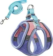 Generic Cat Harness and Leash, Proof for Walking, Adjustable, for Large and Small Kitten Dogs, Blue and Pink, L