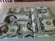 ONE HUNDRED DOLLARS TWIN SHEETS FLAT & FITTED RARE UNIQUE "NO PILLOWCASE" NEW