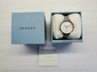 SKAGEN HAGEN SILVER DIAL ROSE GOLD CASE MESH BRACELET LADIES WATCH SKW2662 NEW