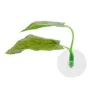Artificial Plant Leaf Betta Hammock Fish Rest Bed Aquariums Supply Leaves♫