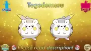 ⚔️Shiny/Non-shiny Togedemaru 6IV️Pokémon Sword/Shield HOME (Legal)