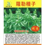 ❥【原廠包裝】薄荷種子 羅勒種子 綠莖九層塔種子 春秋季播種 檸檬甜羅勒 陽台庭院種植 可食用肉桂香料種子🌱