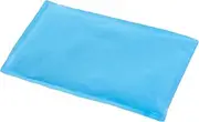 Takeda Corporation SQS3121 [Heat Prevention, Soft, Cold] Blue, 12.2 x 8.3 inches (31 x 21 cm), Soft Ice Pillow