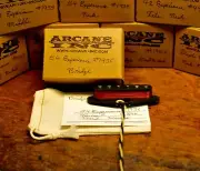 Arcane Inc. 54 Experience Strat Set Guitar pickup