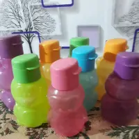 在飛比找蝦皮購物優惠-Eco KIDS BOTTLE 310ml 特百惠第二個螺旋