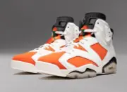 Nike Jordan 6 Retro Gatorade Like Mike White Size 10.5 384664-145