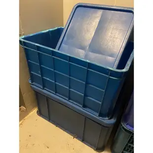 (限自取)二手搬運箱 塑膠籃 蔬果籃 二格籃 六格籃