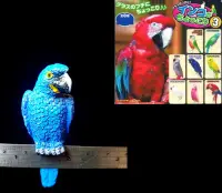在飛比找露天拍賣優惠-BOX-B : 紫藍金剛鸚鵡 鸚鵡 杯緣子 扭蛋 富貴玩具店